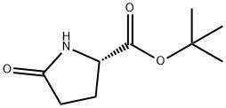 98+ poudre blanche L-Pyr-OtBu CAS n° 35418-16-7